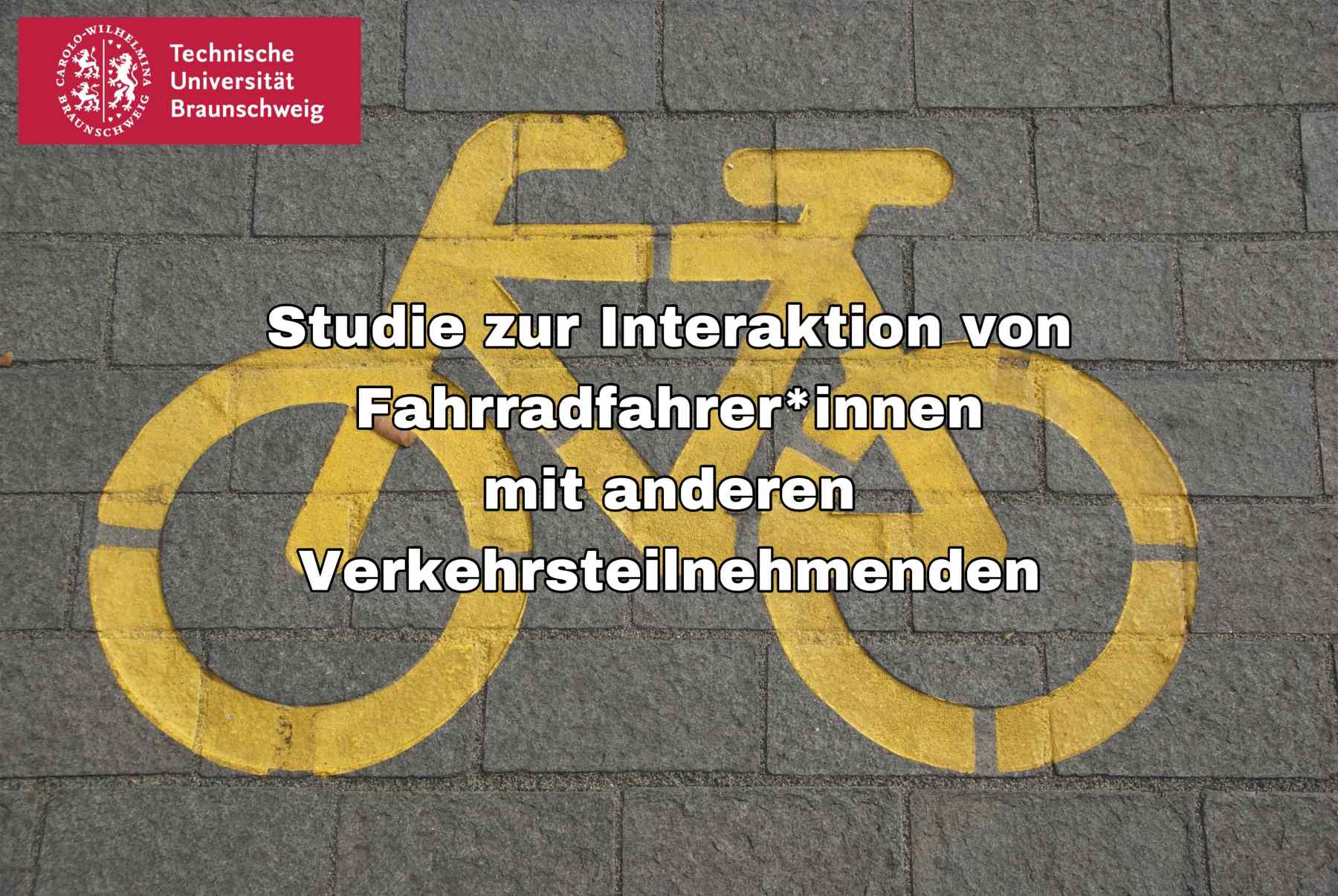 Fahrradpiktogramm zum Fragebogen der Umfrage zur Masterarbeit Verkehrspsychologie